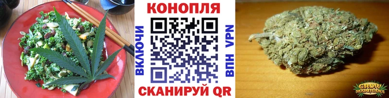 Cannafood марихуана  Бакал 
