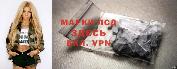 стафф Аркадак