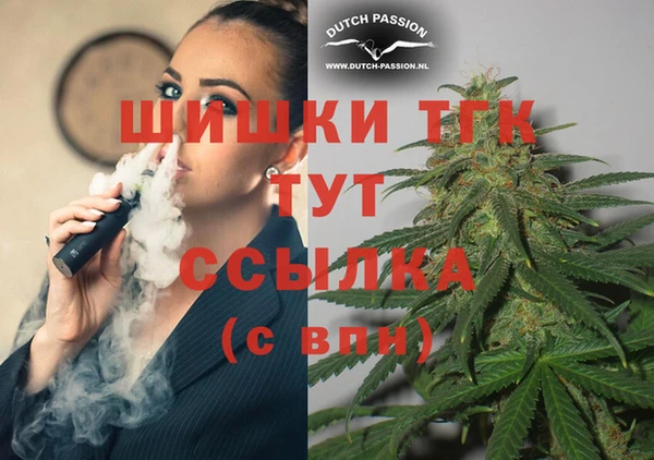 кокс Арсеньев