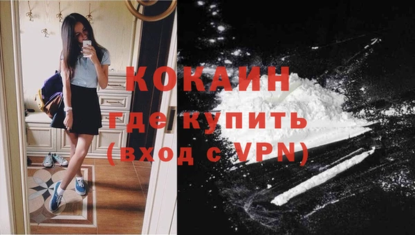 стафф Аркадак