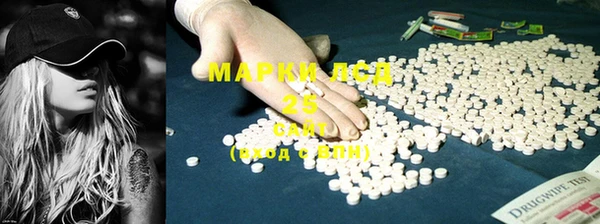 стафф Аркадак